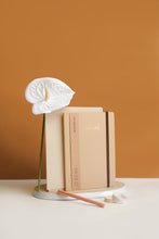 Cava Biscuit Notebook Letterist